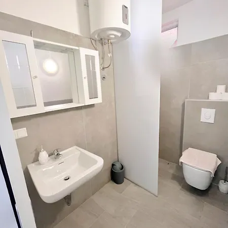 Vanessa 斯塔利格拉德-帕克利尼卡